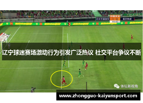 辽宁球迷赛场激动行为引发广泛热议 社交平台争议不断